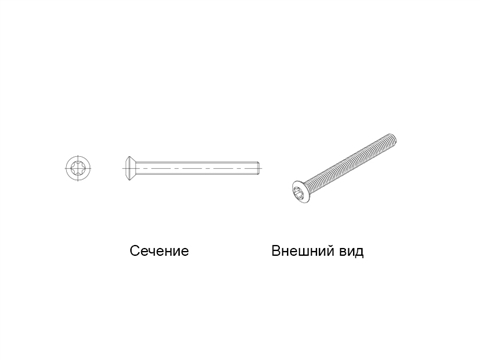 Винт с полупотайной головкой A2 M5x50 TX25