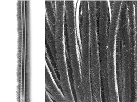 Уплотнитель щеточный STROXX